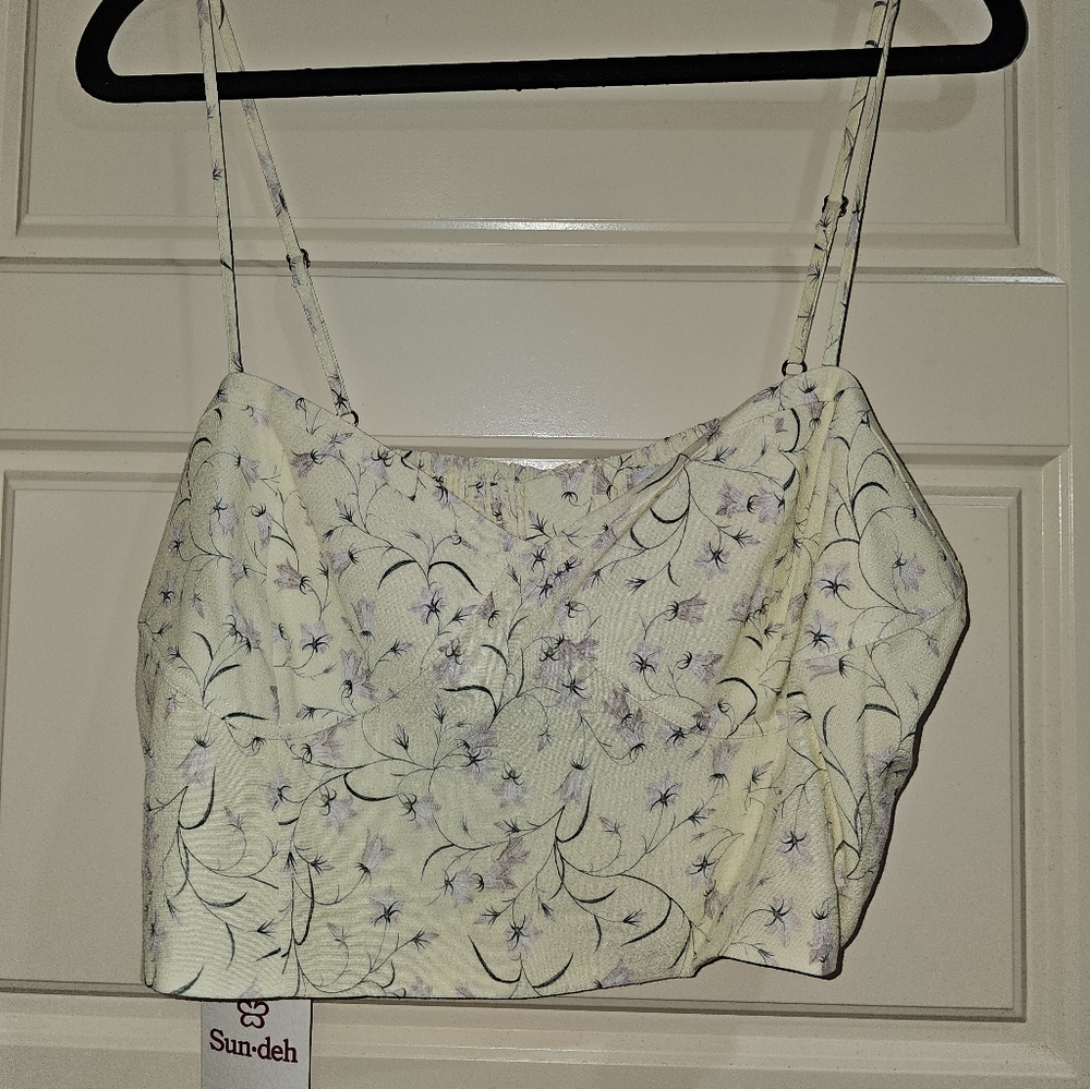 Aritzia Bonnie Bustier